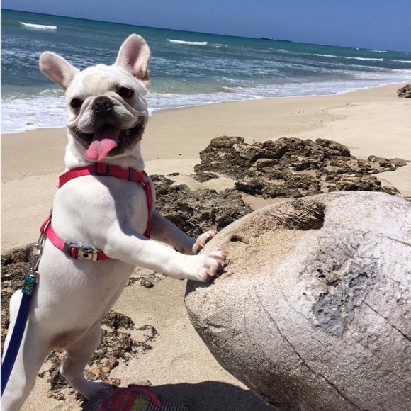 Tiara Miranda - Picture 3 of 4